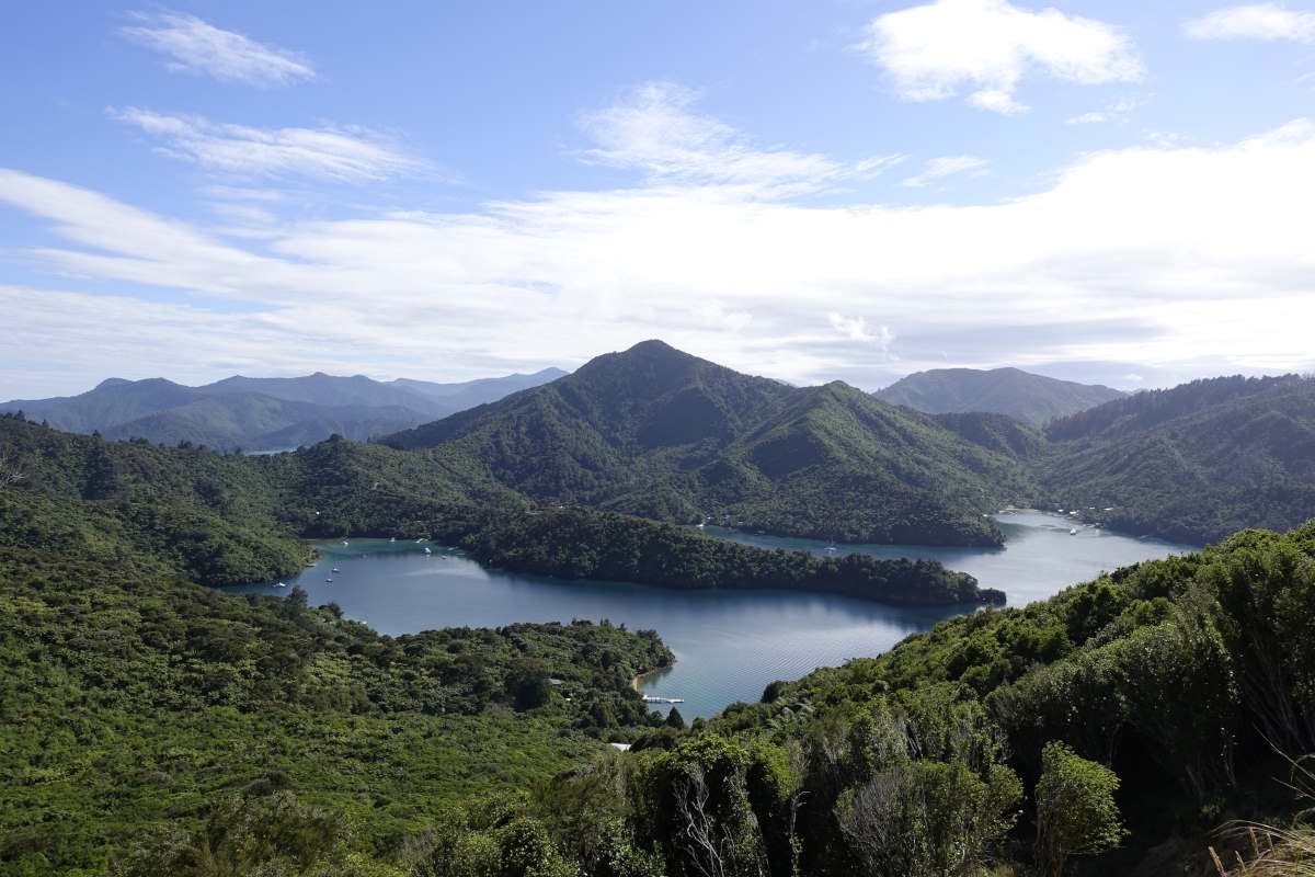 Te Araroa