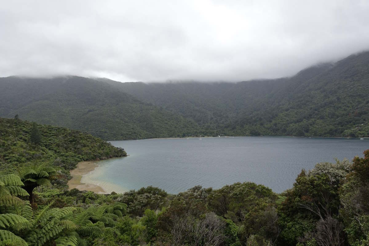 Te Araroa