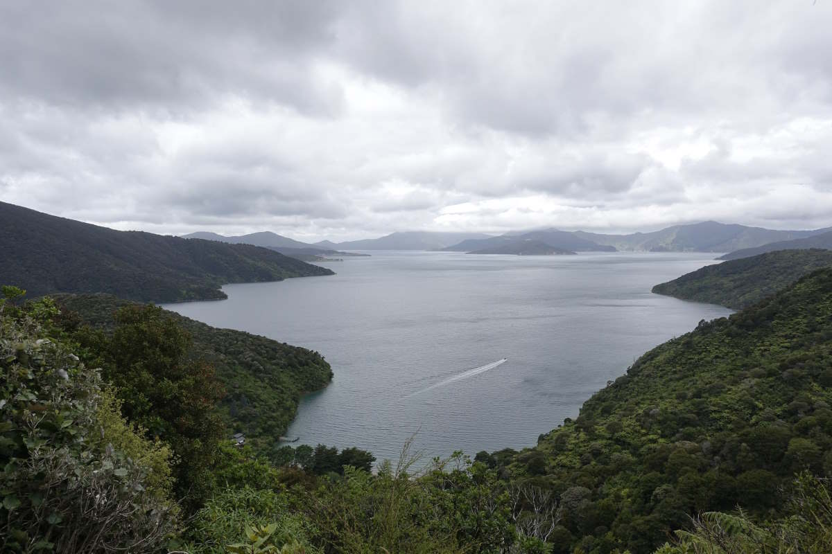 Te Araroa
