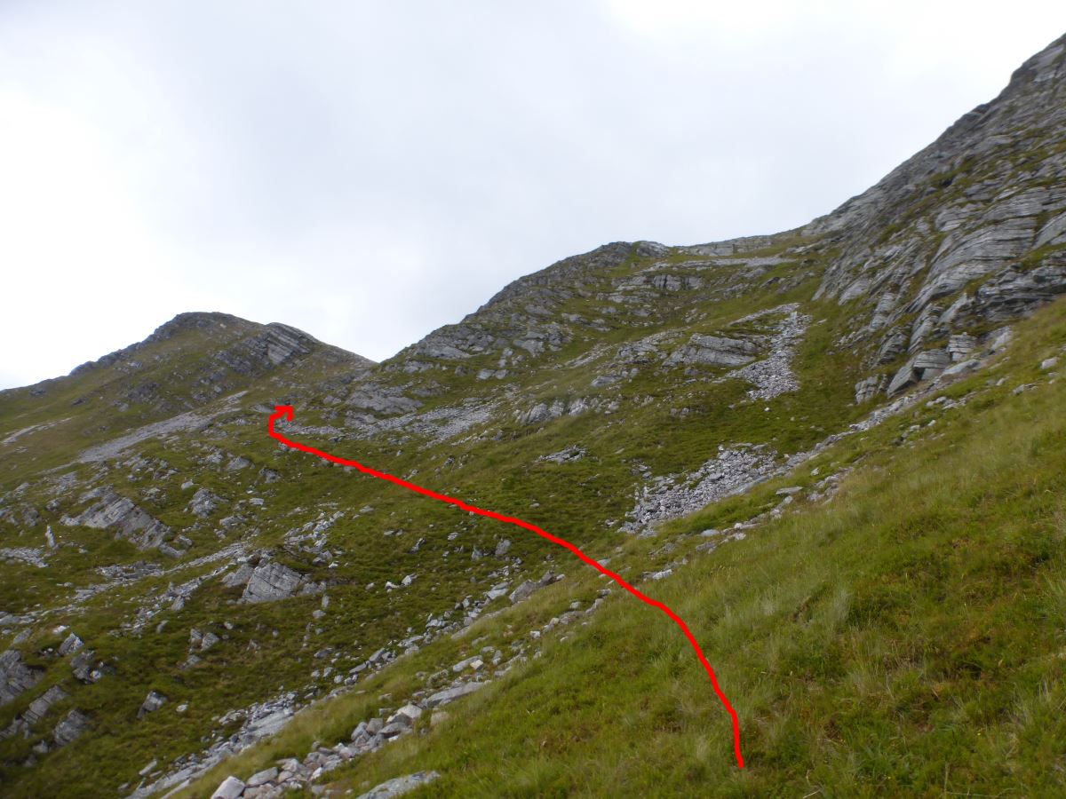 Tranter Crux