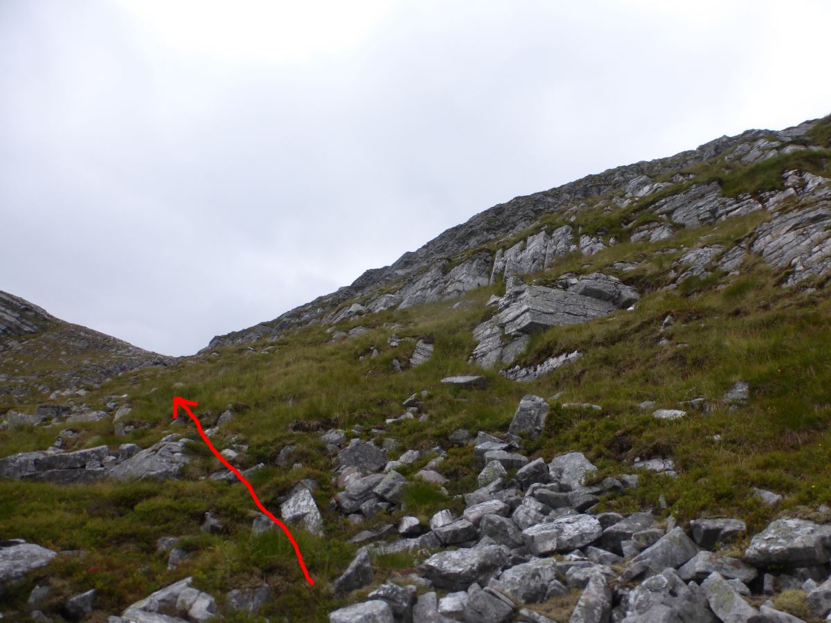 Tranter Crux
