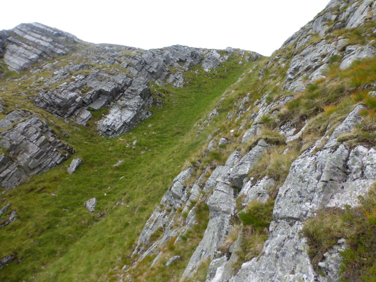 Tranter Crux
