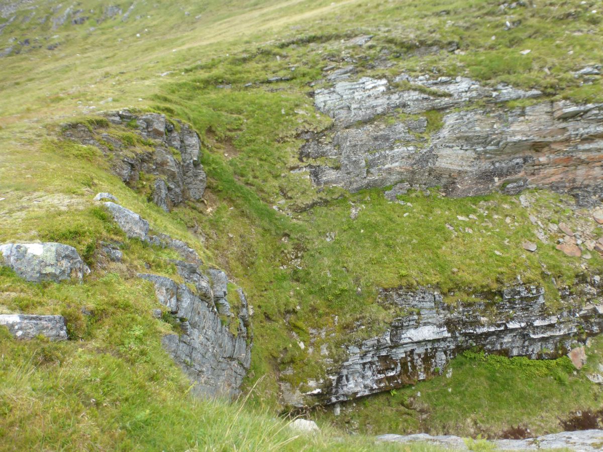 Tranter Crux